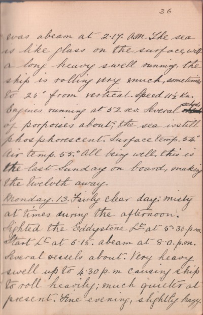13 January 1890 journal entry
